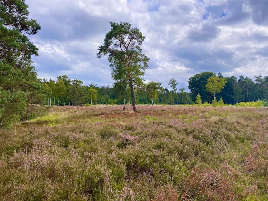 Knus Huisje Op Kindvriendelijk Park Met Zwembad Otterlo Exteriör bild